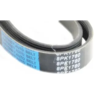 Ремень 8РК 1780 - НЕМАН, FORD Cargo, MB Actros