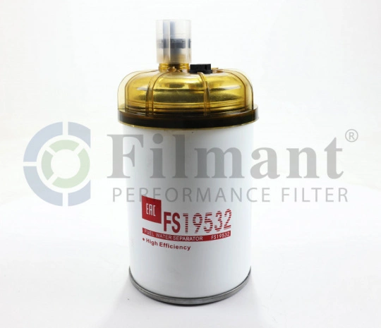 FILMANT Фильтр топливный FS 19532 со стаканом